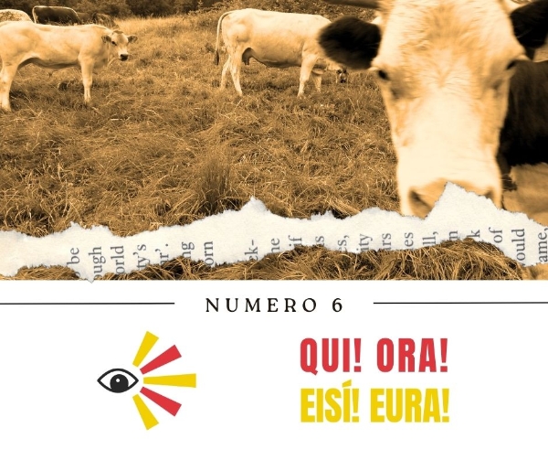 PUNTATA NUMERO 6 Pietre, case, uomini e animali