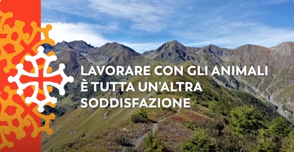 13- Lavorare con gli animali è tutta un'altra soddisfazione