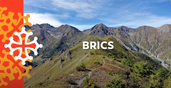 19- Brics