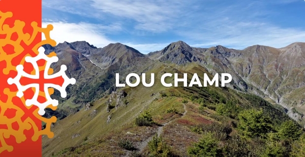 20- Coustan Rey - Lou champ