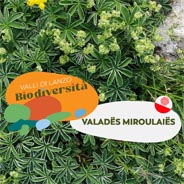 Biodiversità FRP